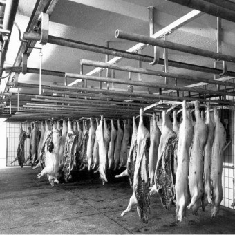 Informationstechnologie-Zentrum (ITZ), Fulda