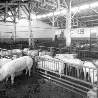 Informationstechnologie-Zentrum (ITZ), Fulda