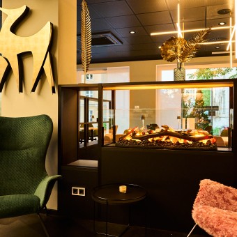 Hotel Rhönkitz, Bad-Kissingen