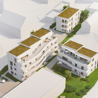 Profil Baumgartenweg